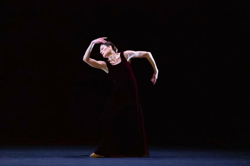 Invités du gala Maria Callas au Palais Garnier